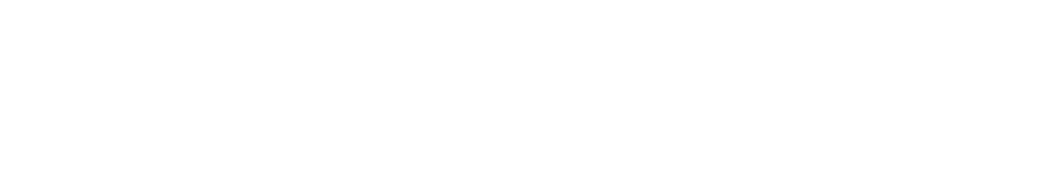 AM TELECOMS
